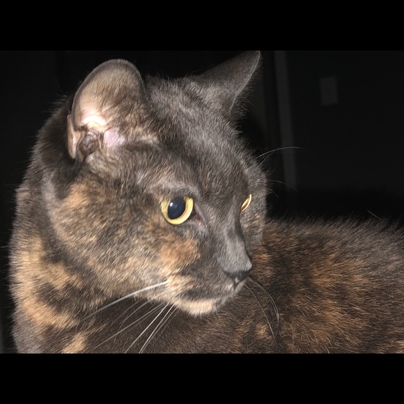 taliakalter03